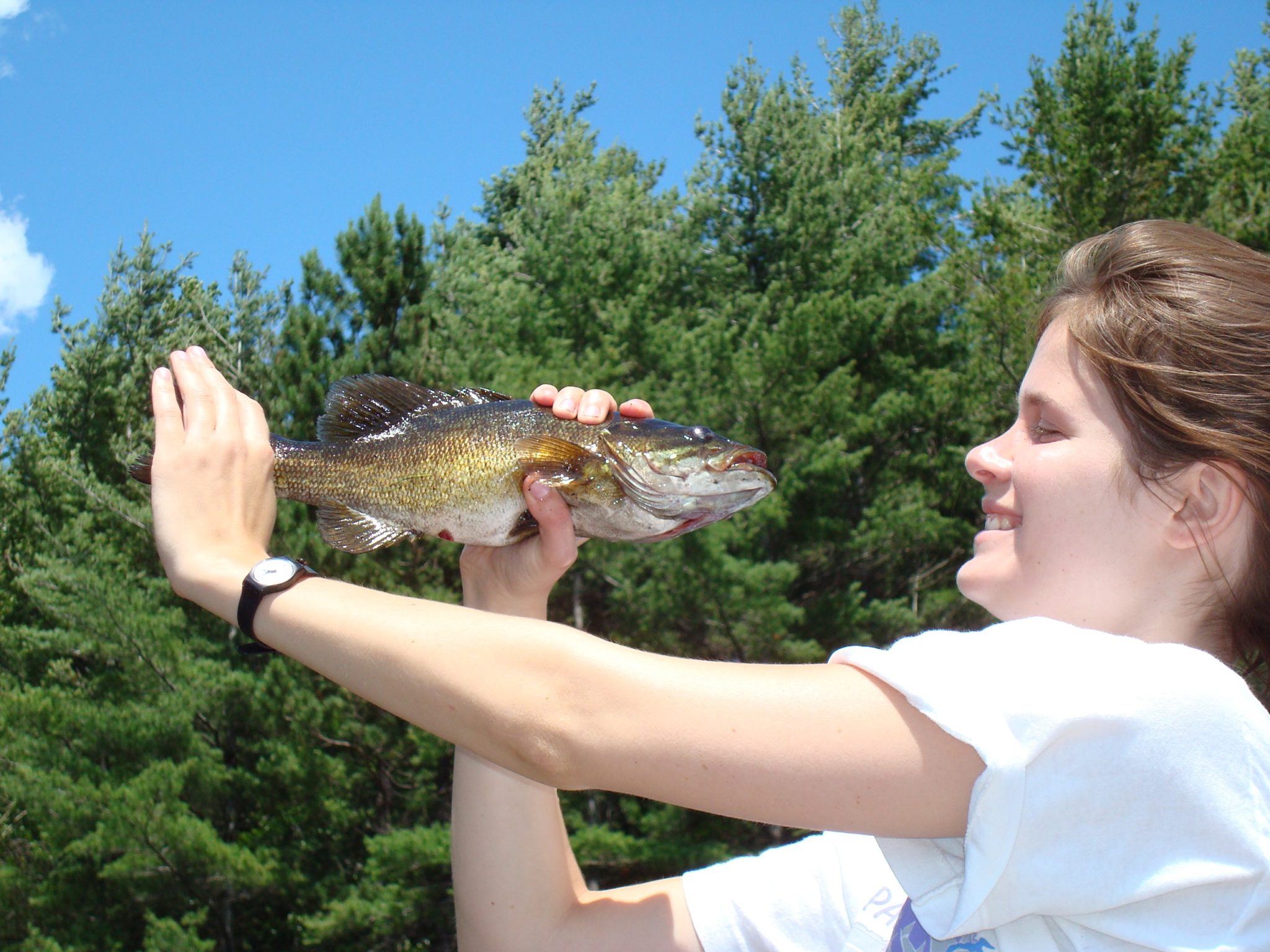 Algonquin Fly Fishing - Fly Fishing, Ottawa Valley