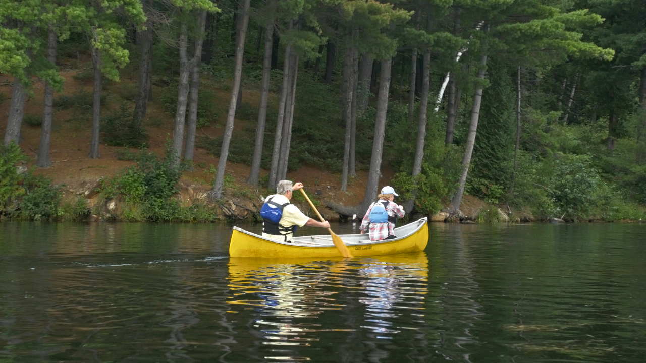 Summer Memberships