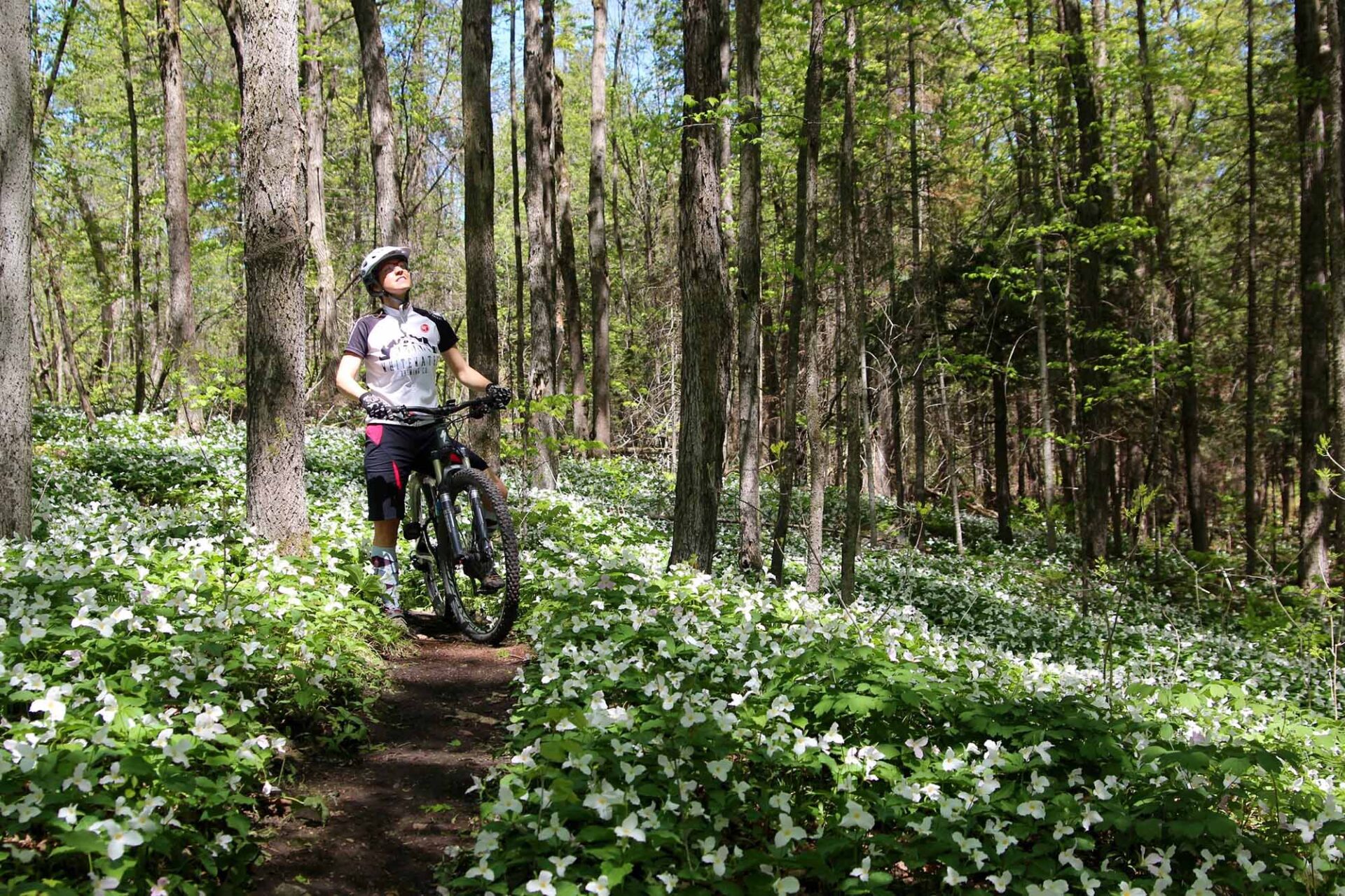Calabogie Peaks Resort – Ontario’s Four-Season Mountain & Lake Getaway